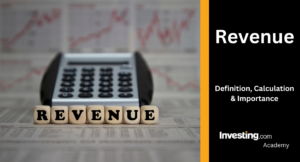 what is budgeted revenue definition and meaning